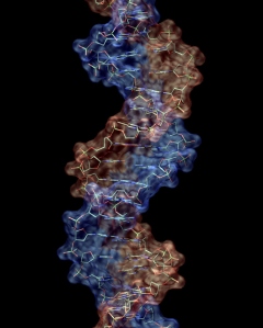dna-molecule2